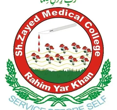 Sheikh Zayed Medical College Jobs 2026