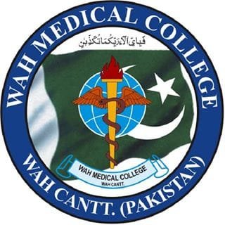 Wah Medical College Jobs 2026