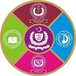 Shaikh Zayed Postgraduate Medical Institute Jobs 2026