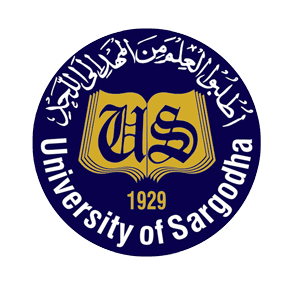 University of Sargodha Jobs 2026